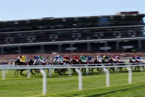 cheltenham runners and riders|Cheltenham Archives .